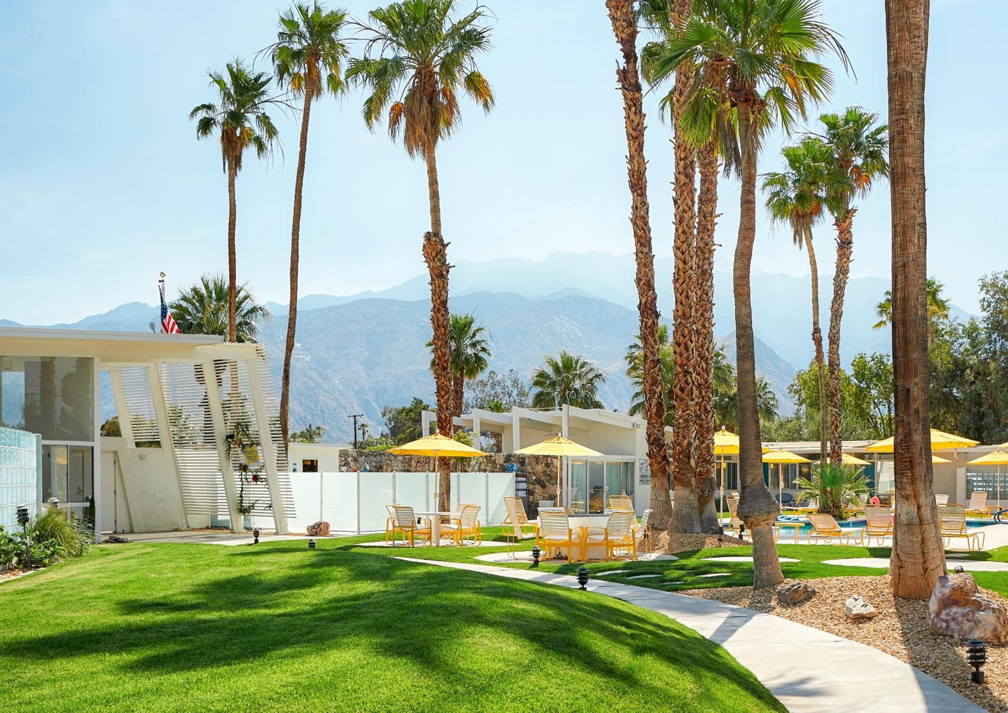 פאלם ספרינגס The Monkey Tree Hotel מראה חיצוני תמונה